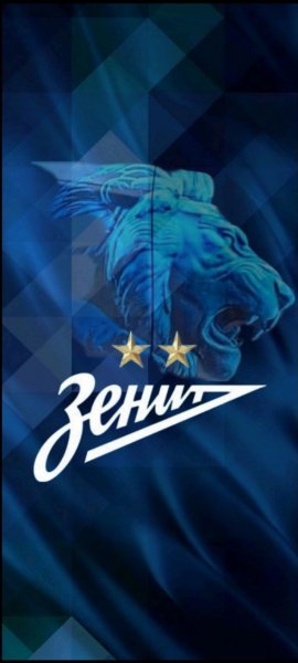 Зенит Чемпион