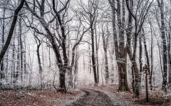 Поздняя осень