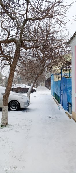 Заснеженный январь 1926 года в Анапе