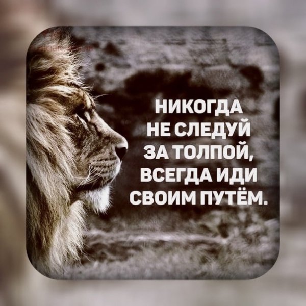 Никогда...