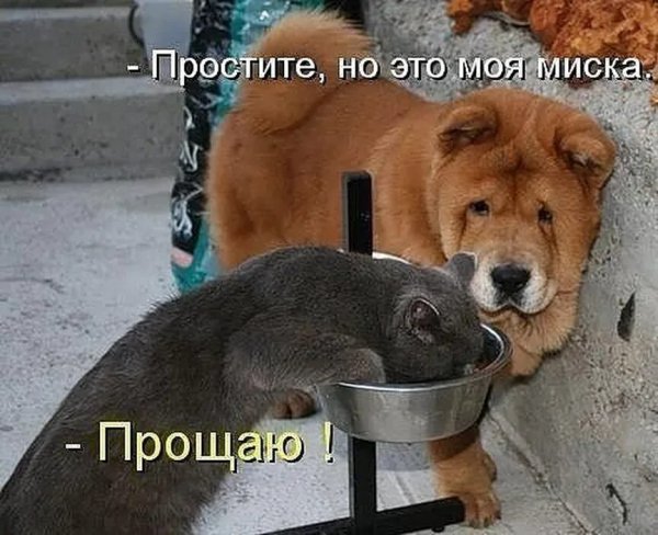 Прощаю!
