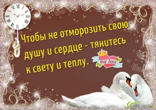 IMG-20181222-WA0002