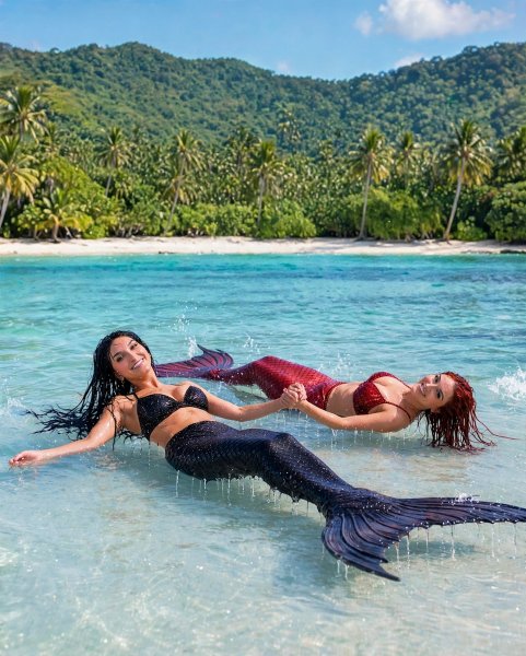 Wet mermaids tropical