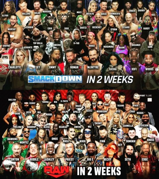 WWE (506)
