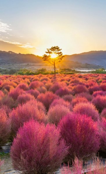 Screenshot 20260417-161056 One UI Home