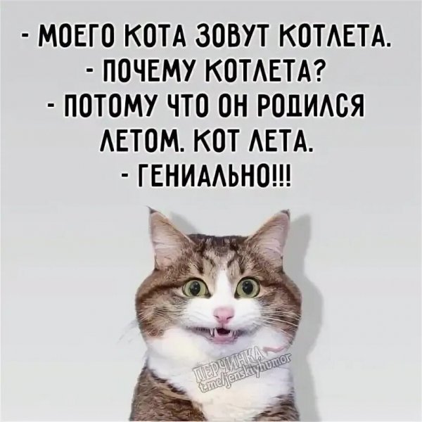 Гениально!!!