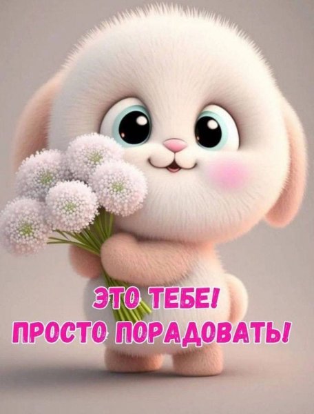 51bc50ec458acda16420ad548ecb5c9f