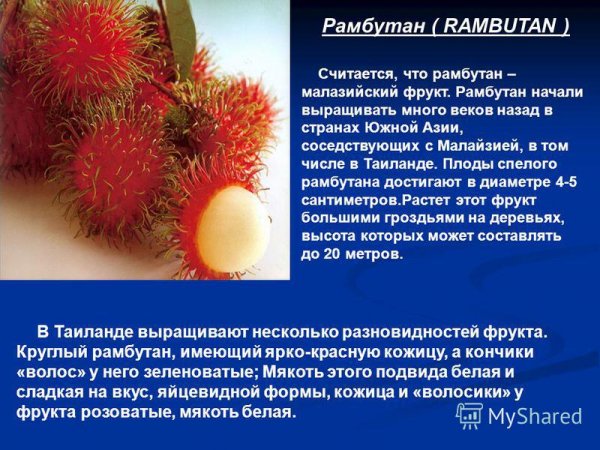 Рамбутан