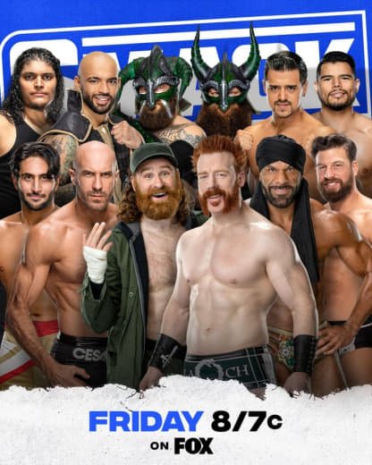 WWE (242)