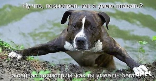 Опаньки!
