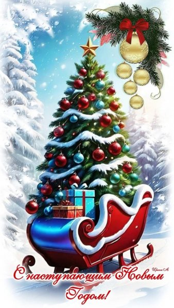 Image by CATRUS (21)