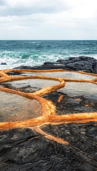 Screenshot 20260203-130704 One UI Home