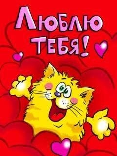 vjwsUNt8lZQ