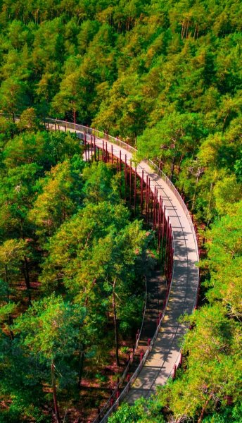 Screenshot 20260222-165611 One UI Home