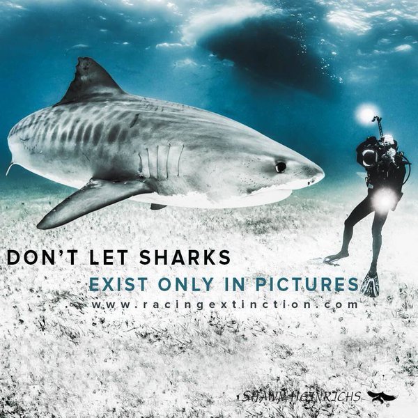 "Racing Extinction"