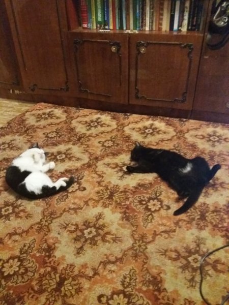 Бусинка и Василий