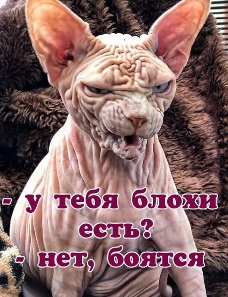 44f1c4223b059d2dc817edda0cfaeb1b