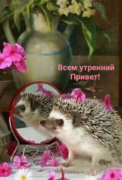 7f420130c365031bc70c54e8c8b52c46