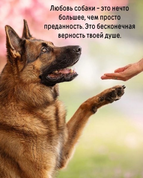 Так и есть!