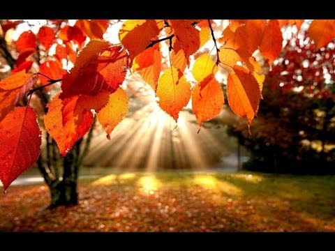 upl 1512229600 132994