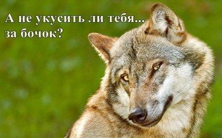 Флрт