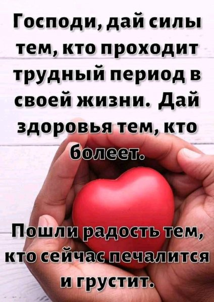 FB IMG 16315404778812637