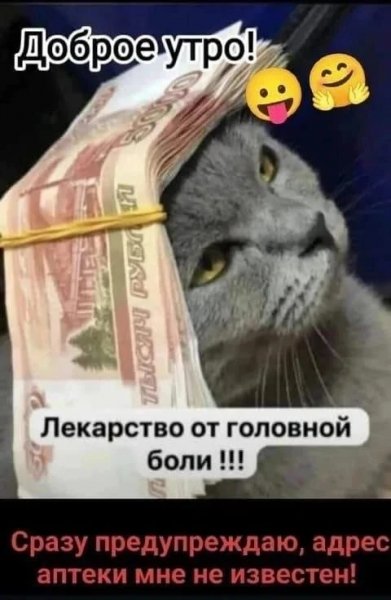 IMG 20260206 184202 101