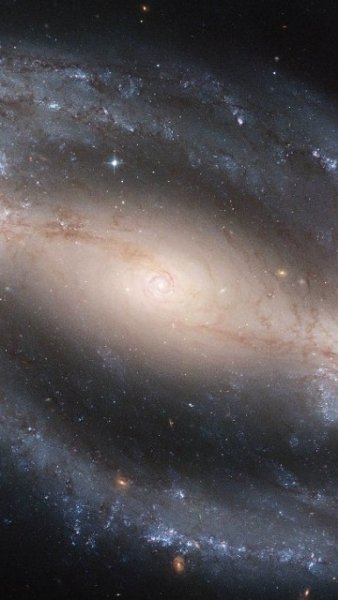 cosmos 0033