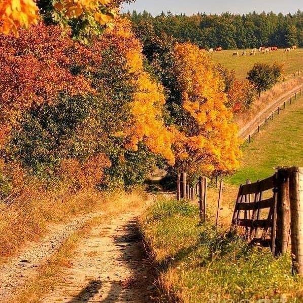 15-33-10-123608517 365528151381819 8243743406175141429 n