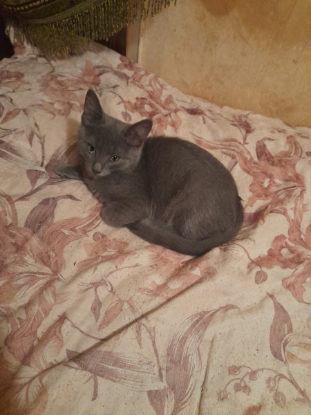 picture_392625713