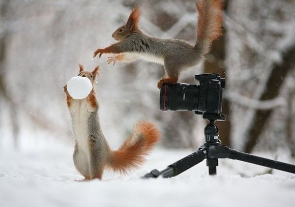 фотосессия