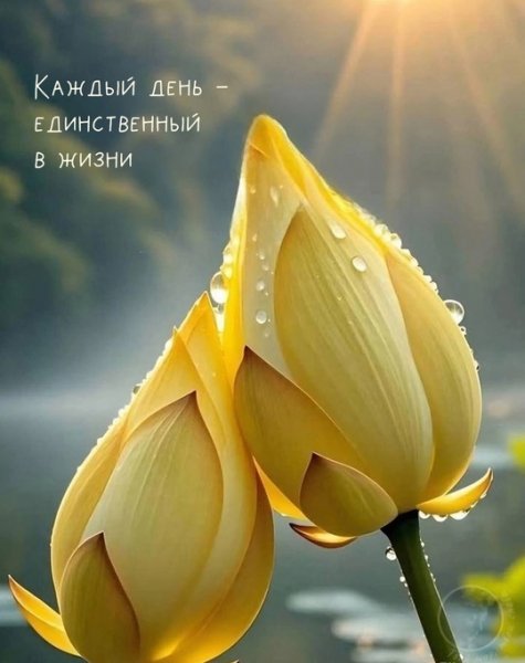 V-jUgEbQIQ6Vr2uIrPO-QmTomXe9eT7y -Moqcb-AMADv4-qYMyZvnOPeiEw