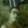 8 KillAll