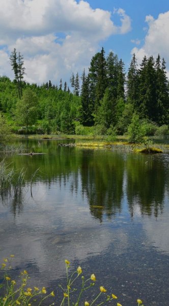 Screenshot 20250307-214414 One UI Home