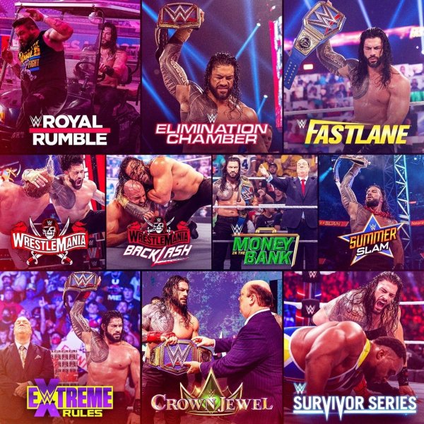 WWE (295)