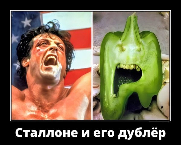 Сильвестр Сталлоне
