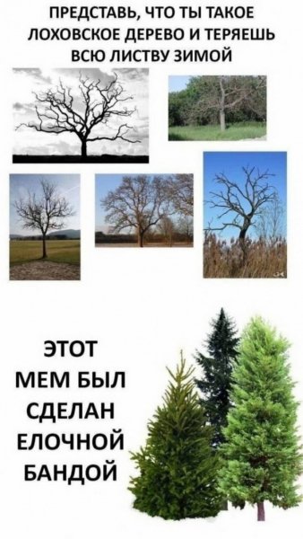 54ef56e9e6 20582503