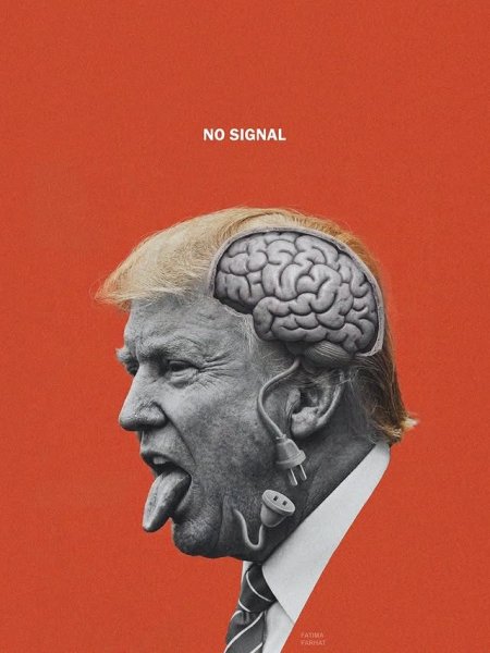 No signal (2026)