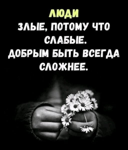 FB IMG 16778587038036850