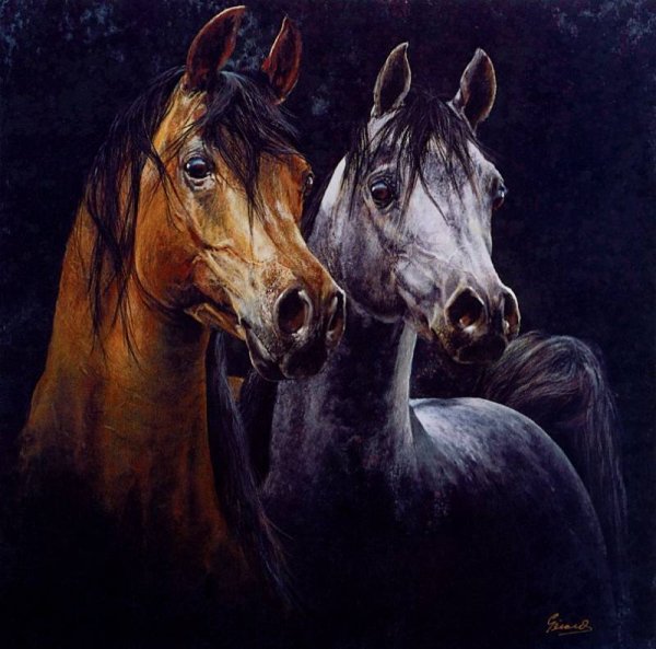 robert-gerard-silence-de-artfond