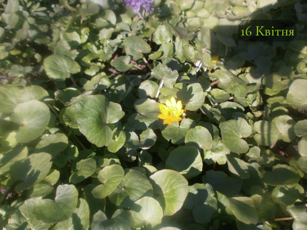 16 Квітня