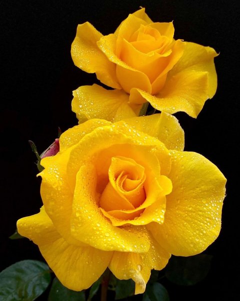 17-02-37-195359417 2972915026327656 2351215669103163051 n