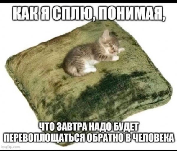 picture_412697363