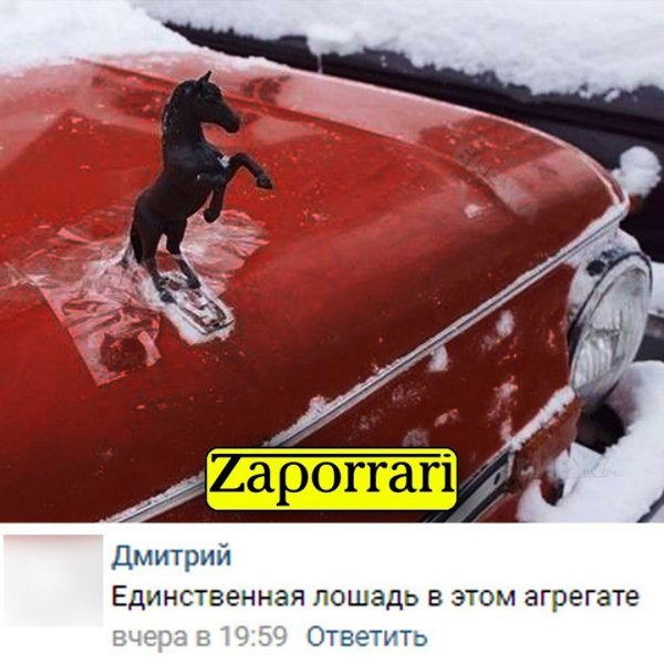 Единственная лошадь...