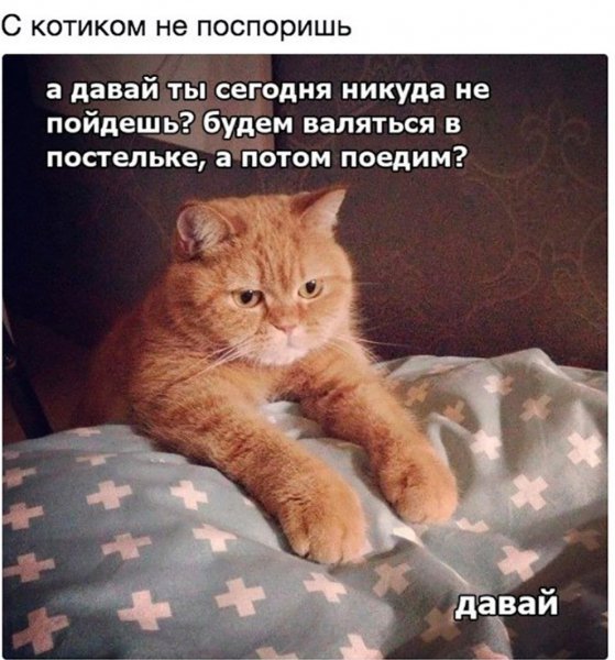 JCJX0SErQXw