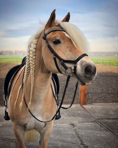 8c2f6e34b382b220cd7bdf9bbc54356f