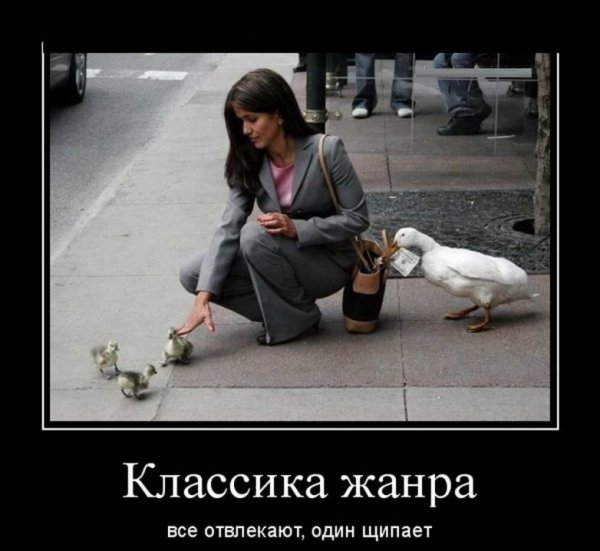 Ограбление века