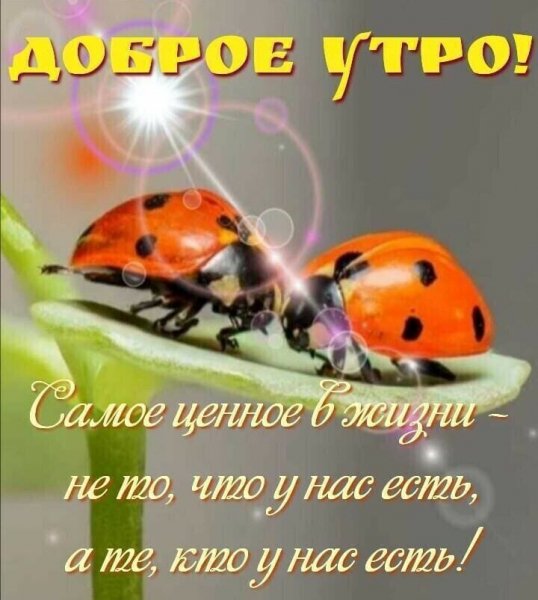 САМОЕ ЦЕННОЕ-ТЕ,КТО У НАС ЕСТЬ!