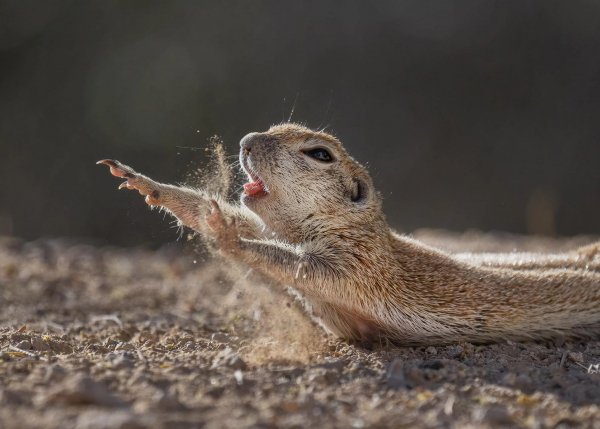 У меня утренняя йога