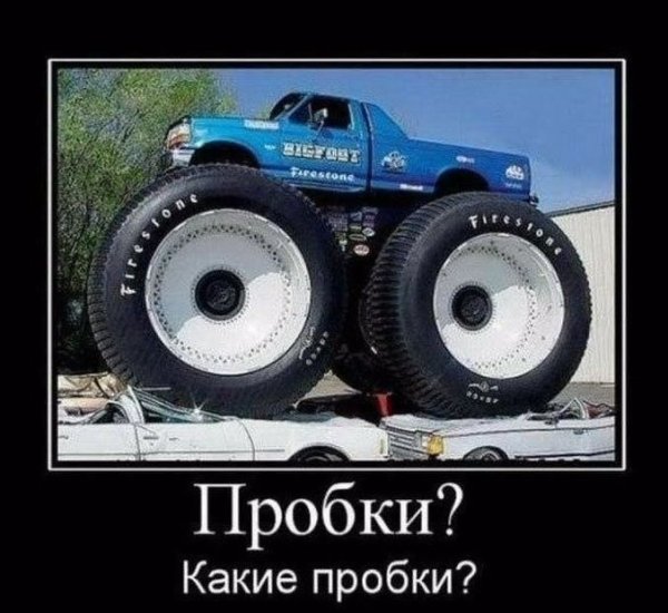 picture_233715360